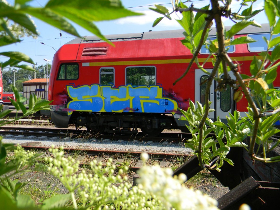 Graffiti Train - Photo by geracity - ser (2009)