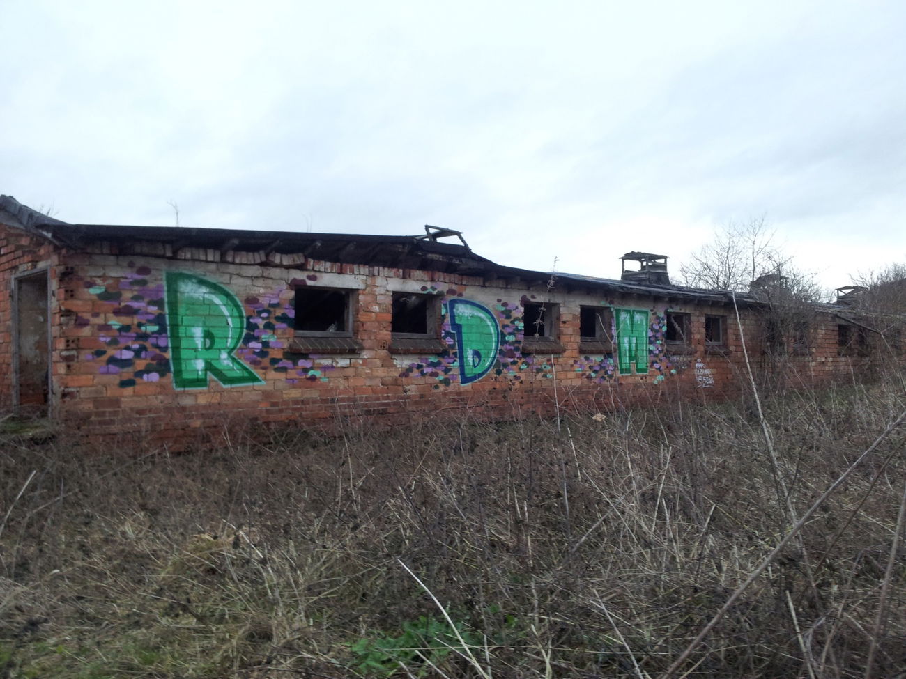 Graffiti Bombing - Photo by geracity - rdm, redröm