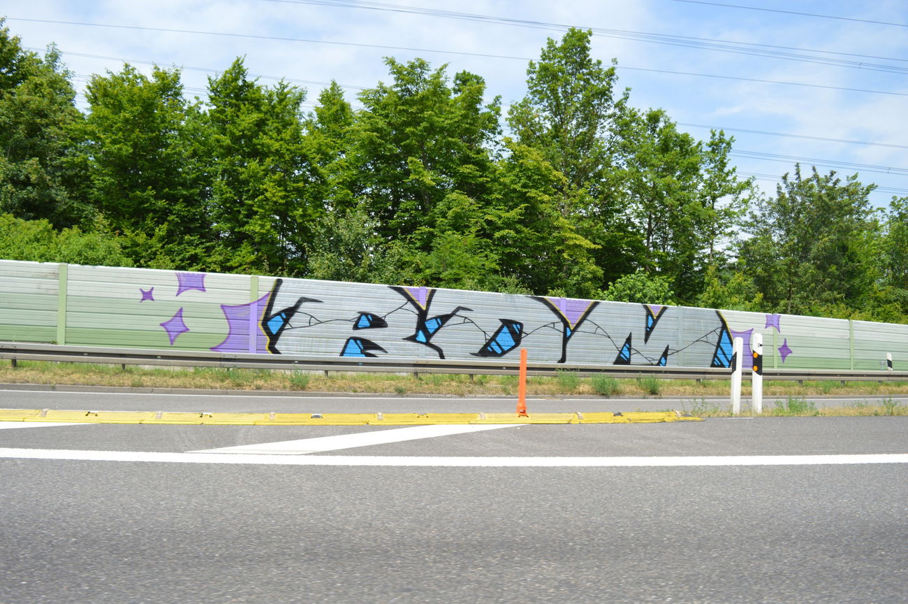 Graffiti Bombing - Photo by geracity - rdm, redröm