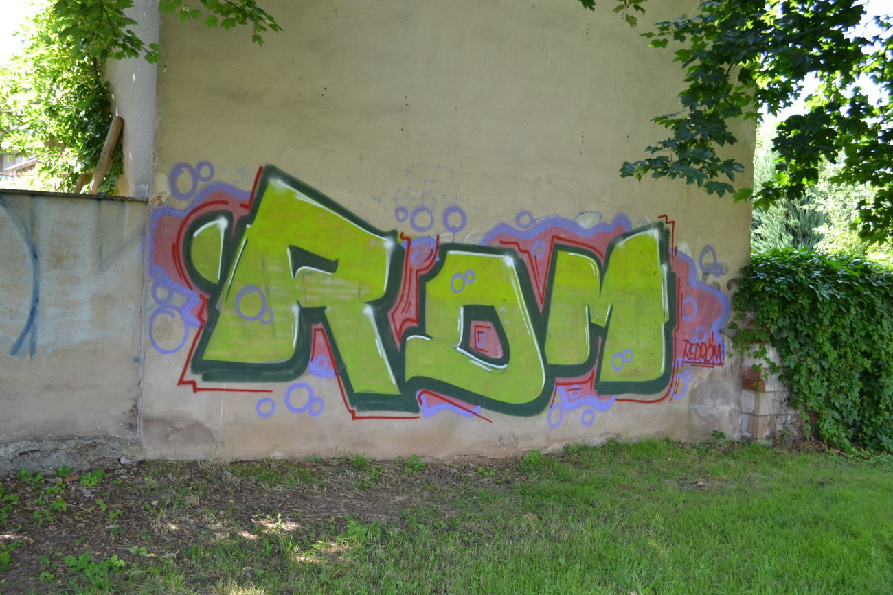 Graffiti Bombing in Gera - Photo by geracity - rdm, redröm