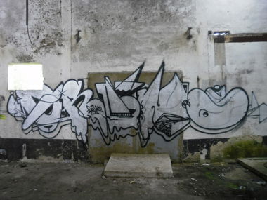 Graffiti Bombing in gera - Photo by geracity - grino