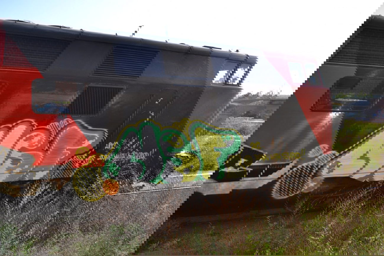 Graffiti Train - Photo by geracity - ndf