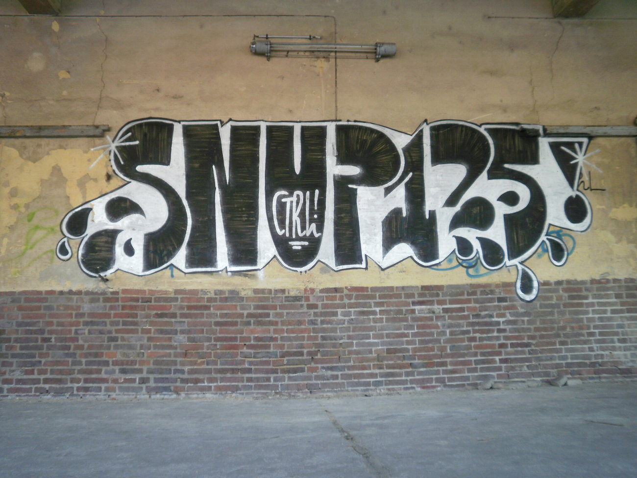Graffiti Wall - Photo by geracity - snur, 125