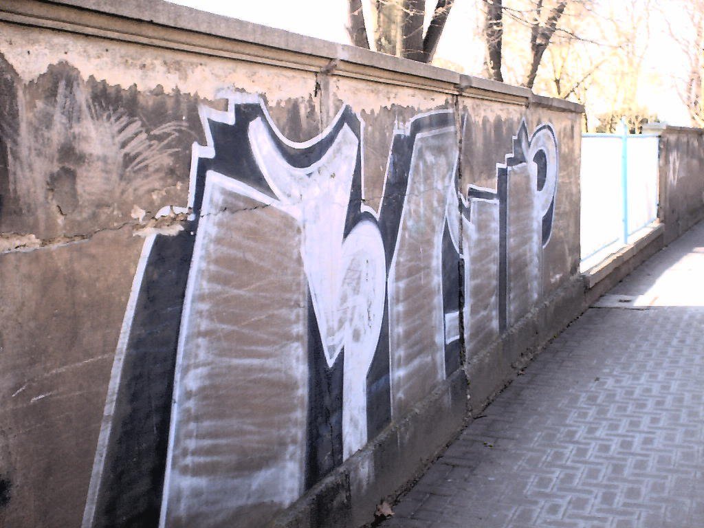 Graffiti Wall in gera - Photo by geracity - rap