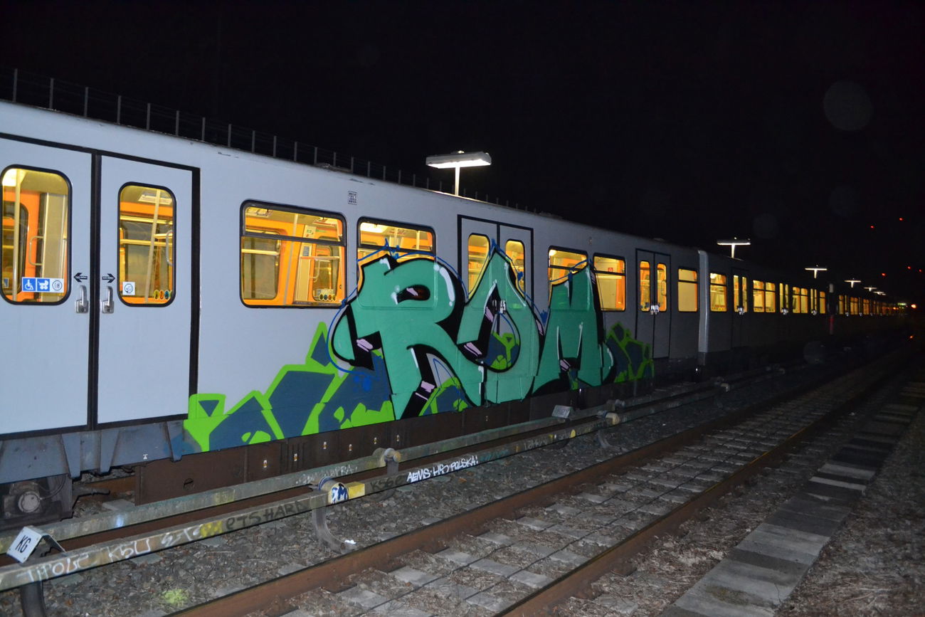 Graffiti Train in Wien - Photo by geracity - rdm, redröm