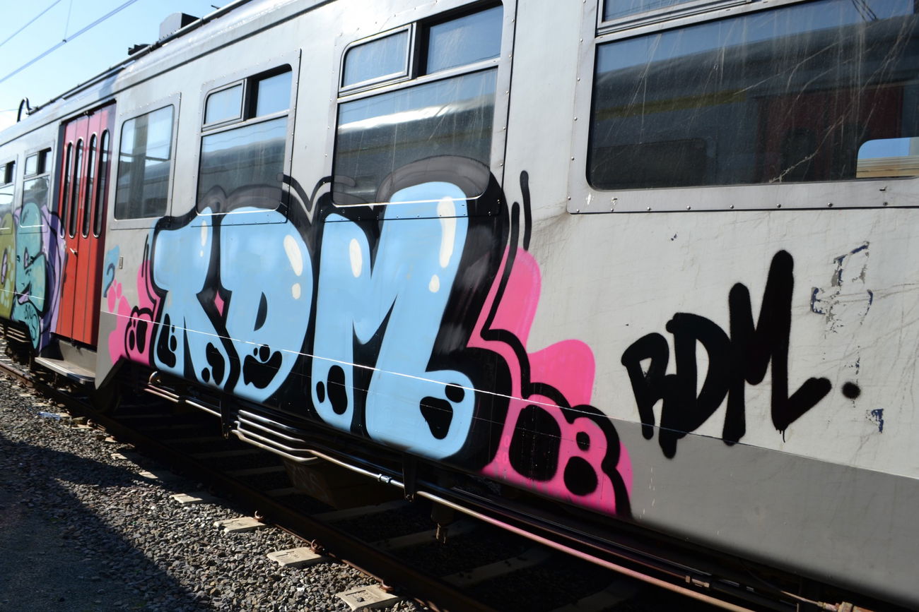 Graffiti Train in Belgien - Photo by geracity - rdm, redröm