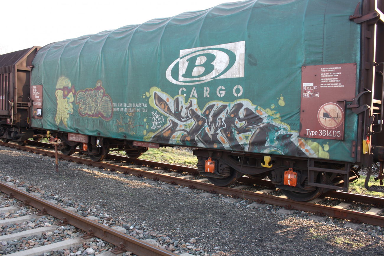 Graffiti Train - Photo by geracity