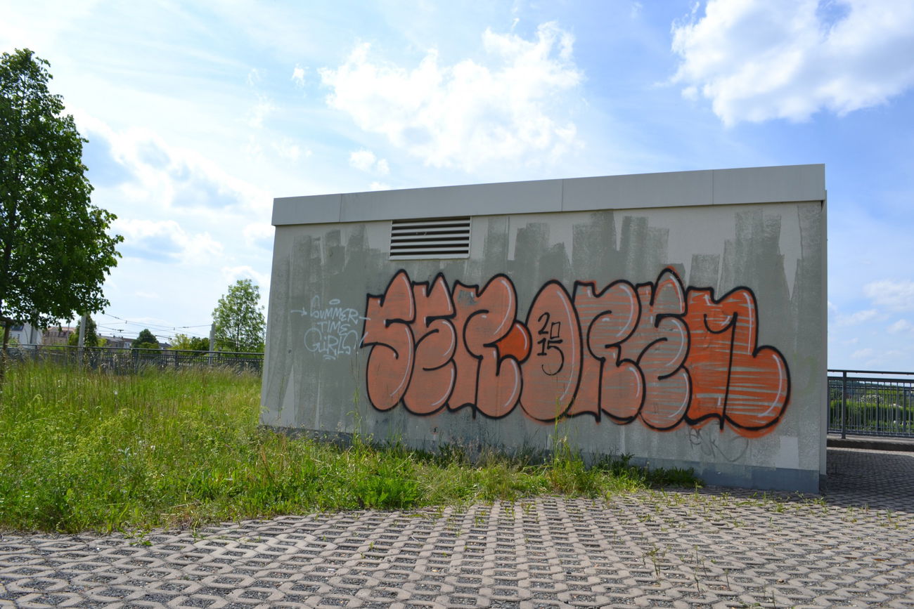 Graffiti Bombing in Gera - Photo by geracity - ser, orem