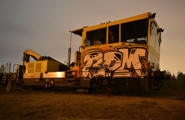 Graffiti Train in Schweiz - Photo by geracity - rdm, redröm