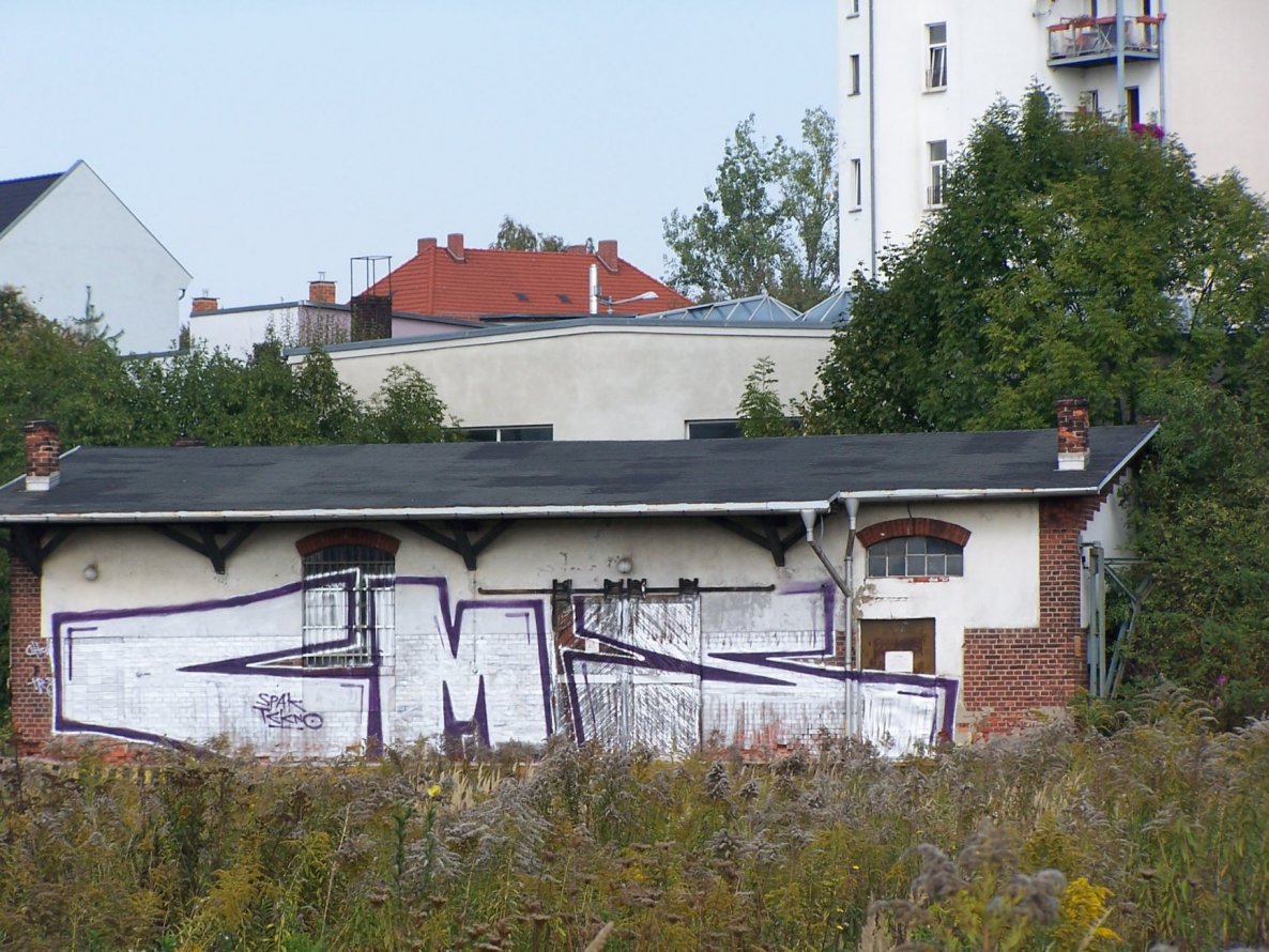 Graffiti Bombing in gera - Photo by geracity - cms