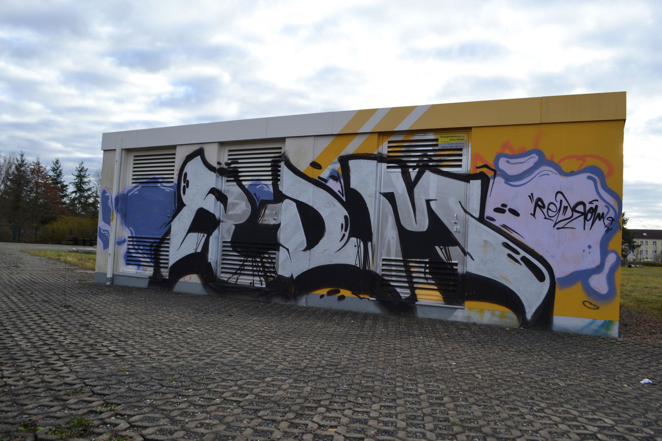 Graffiti Bombing in Gera - Photo by geracity - rdm, redröm