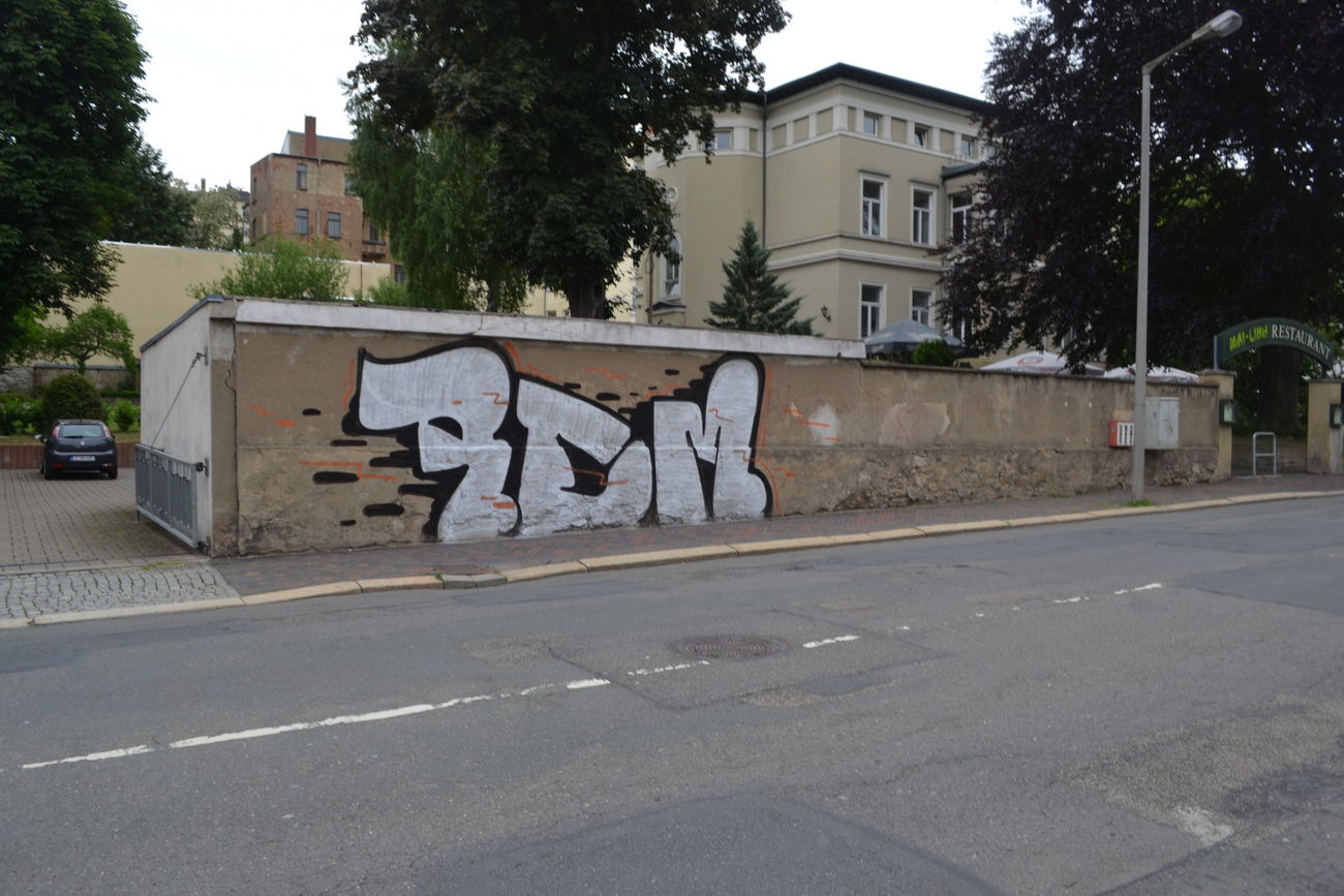 Graffiti Bombing in Gera - Photo by geracity - rdm, redröm