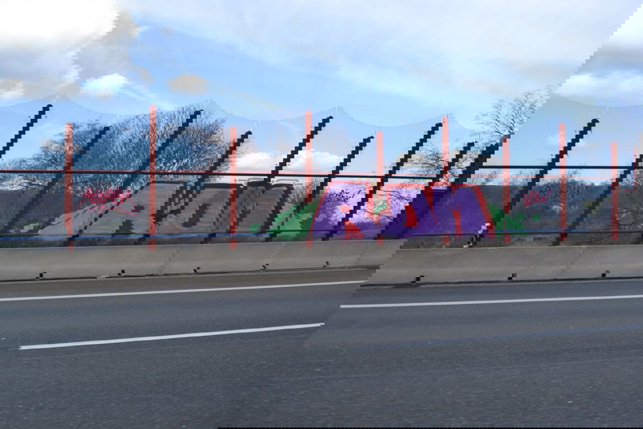 Graffiti Bombing in gera - Photo by geracity - rdm, redröm (2014)