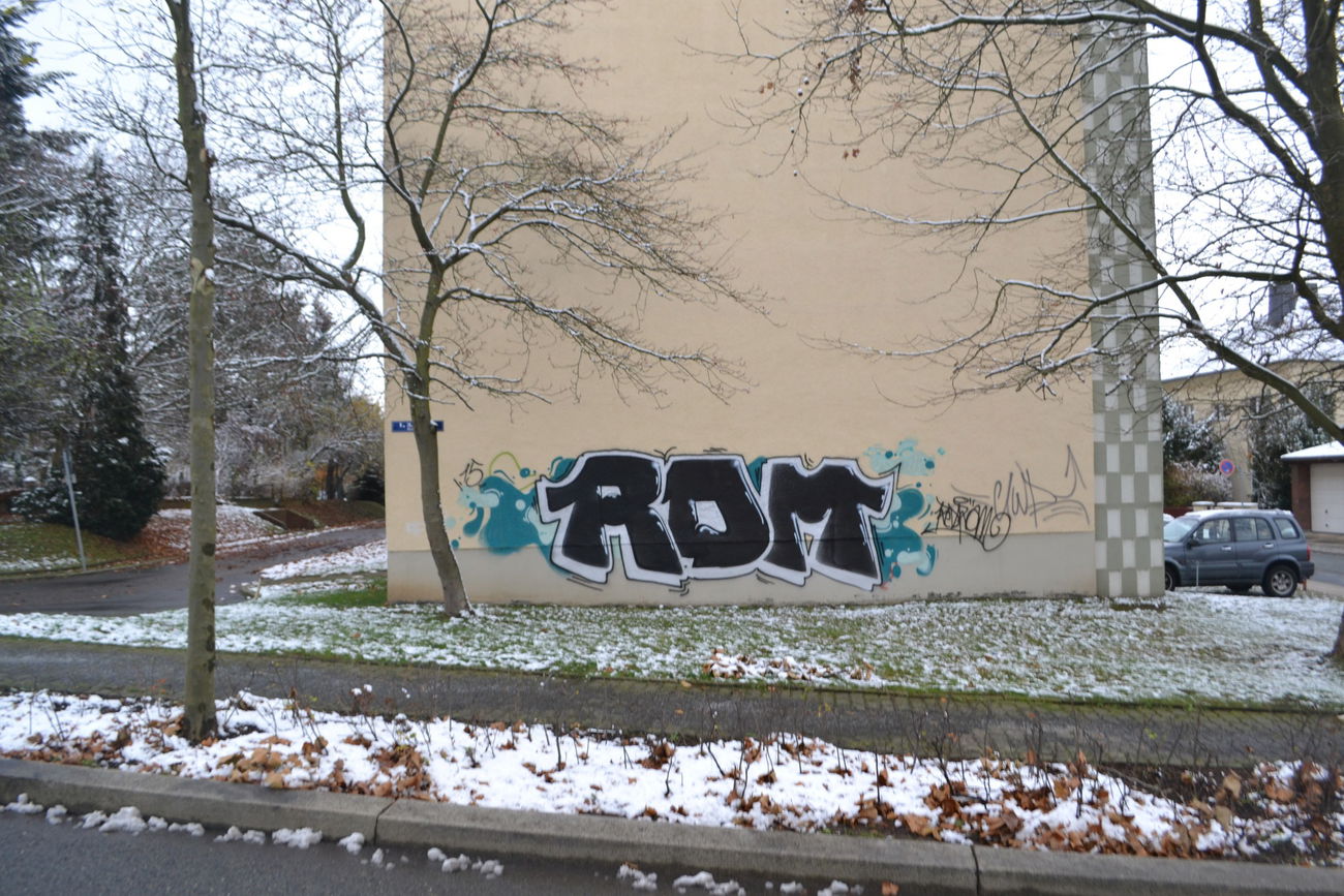 Graffiti Bombing in Gera - Photo by geracity - rdm, redröm