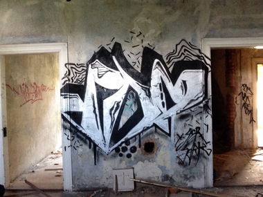 Graffiti Bombing in Gera - Photo by geracity - rdm, redröm