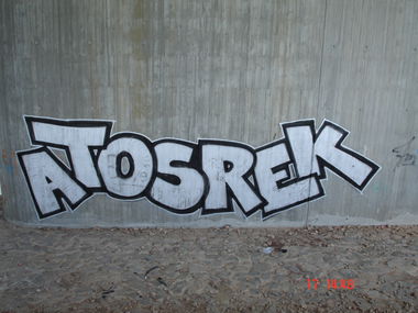 Graffiti Bombing in Gera - Photo by geracity - atos, srek