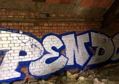 Photo #230515 by Coler