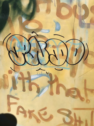 Graffiti Wall - Photo by giant - throwie, throwup, pndo