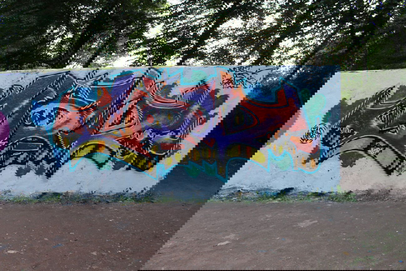 Graffiti Wall - Photo by gibmirdeineseele - crazy, cow, 666