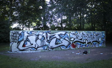 Graffiti Wall - Photo by gibmirdeineseele - cow, gos, bonn