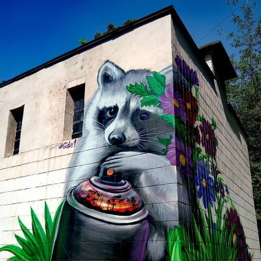 Graffiti Wall in Київ - Photo by gide1 - gide1, raccoon, art (2017)