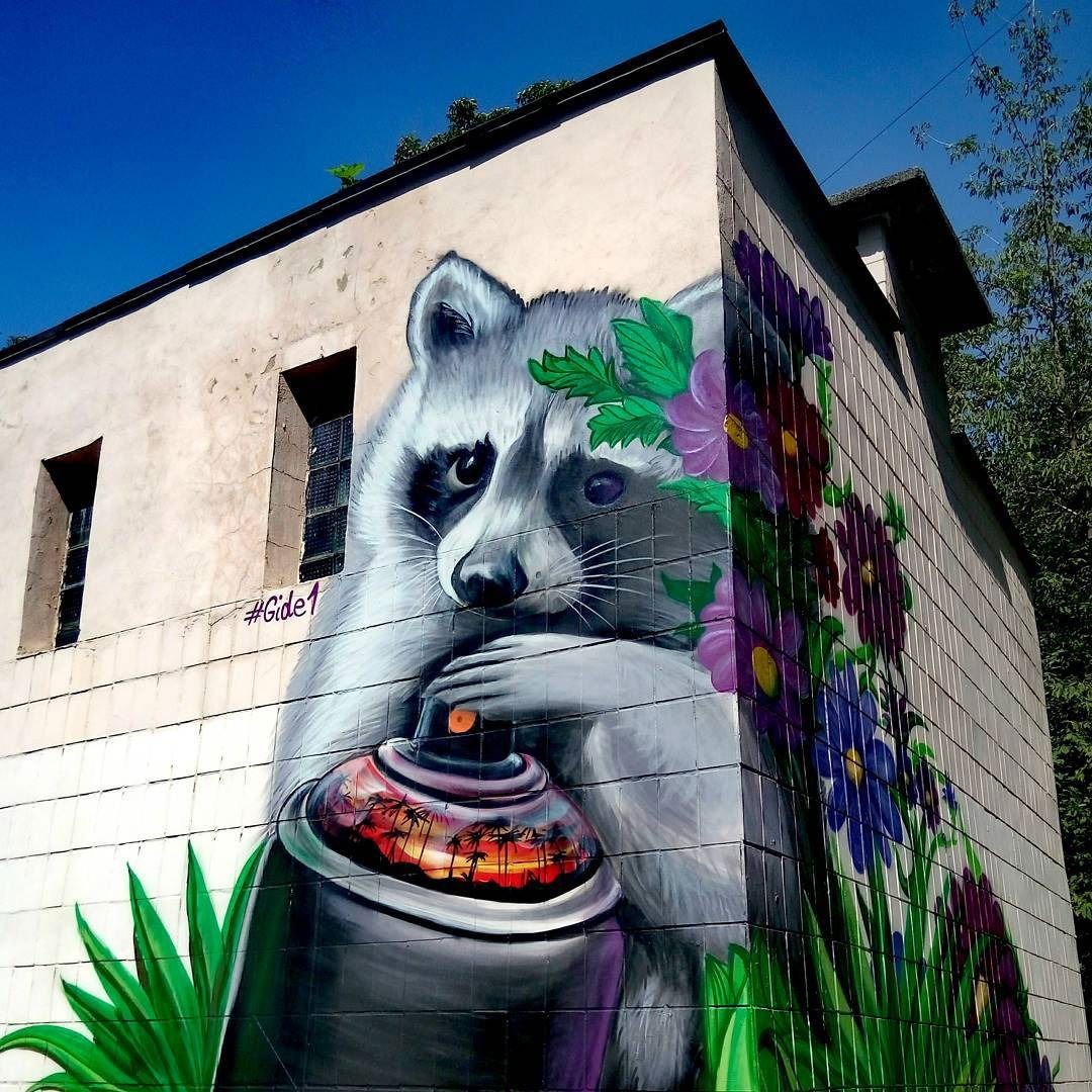 Graffiti Wall in Київ - Photo by gide1 - gide1, raccoon, art (2017)