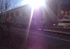 Photo #77373 by Belt