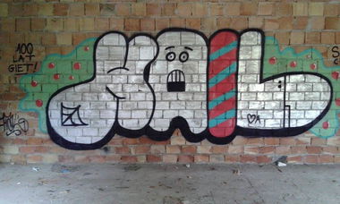 Graffiti Bombing - Photo by gloszezlewu