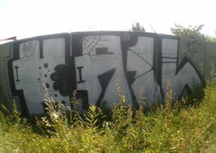 Photo #162295 by TagHagel