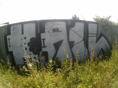 Graffiti Bombing - Photo by gloszezlewu