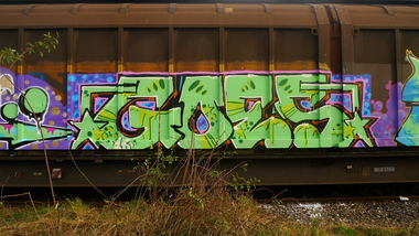Graffiti Train - Photo by goes1 - fr8, freight, panel (2016)