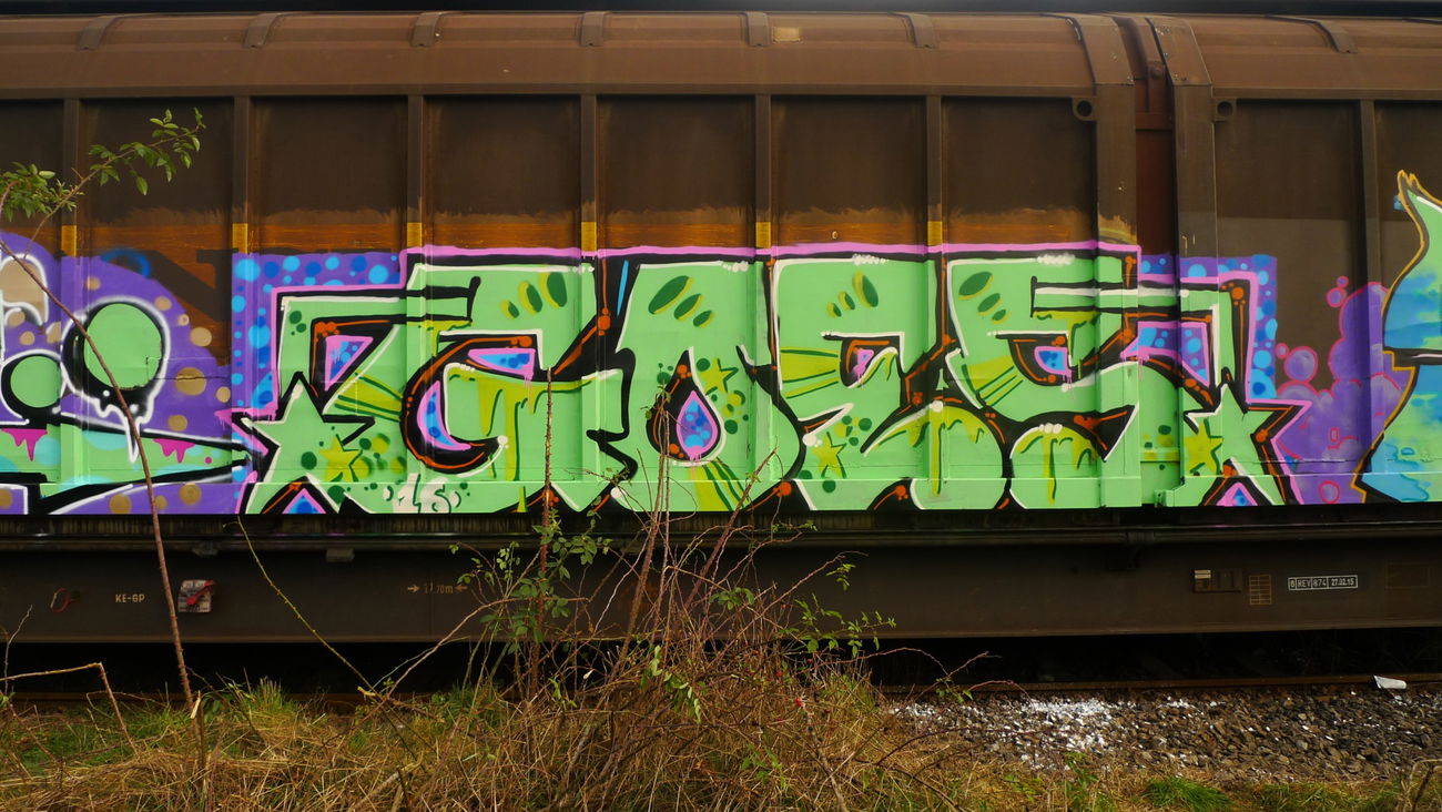 Graffiti Train - Photo by goes1 - fr8, freight, panel (2016)
