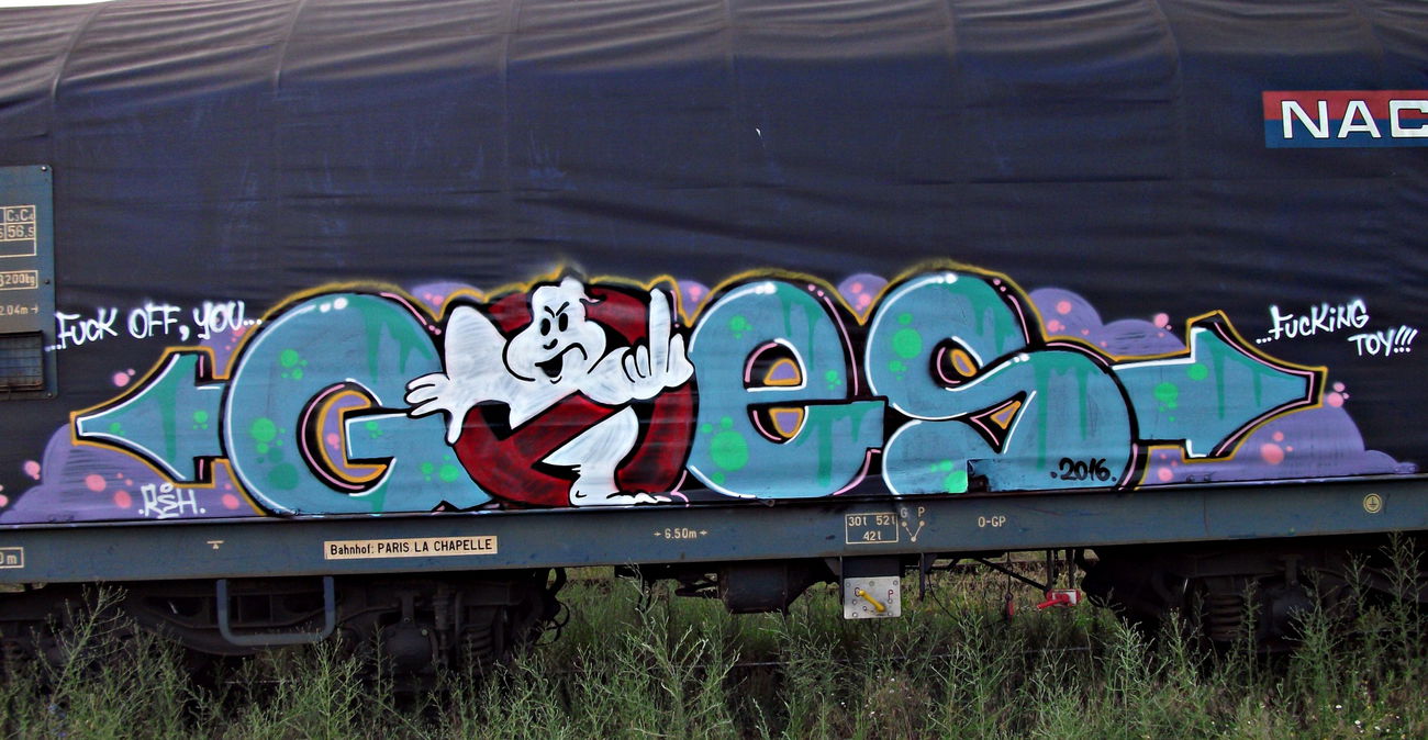 Graffiti Train - Photo by goes1 - fr8, freight, panel (2016)