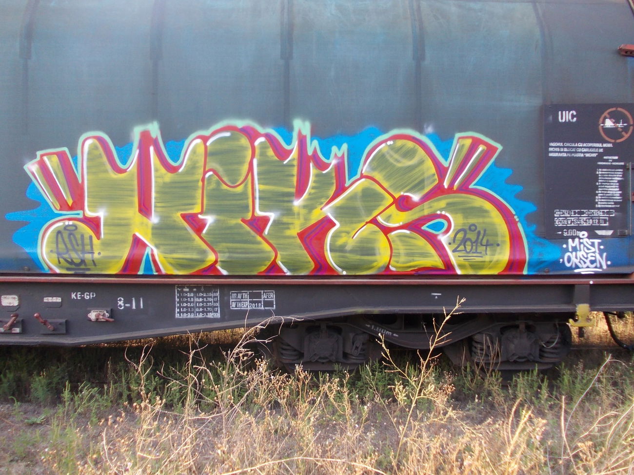 Graffiti Train - Photo by goes1 - freight, fr8, goes (2014)