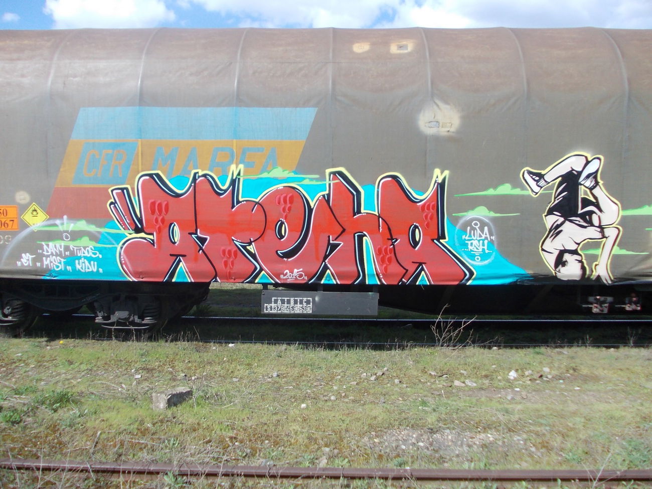 Graffiti Train - Photo by goes1 - 3bboyfreight, fr8, goes (2015)