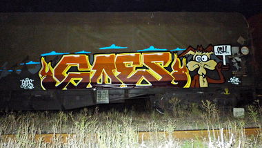 Graffiti Train - Photo by goes1 - fr8, freight, panel (2016)