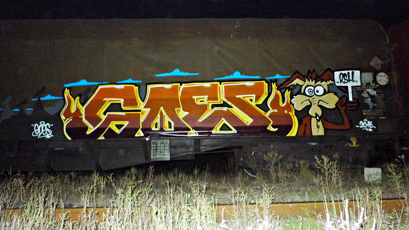 Graffiti Train - Photo by goes1 - fr8, freight, panel (2016)