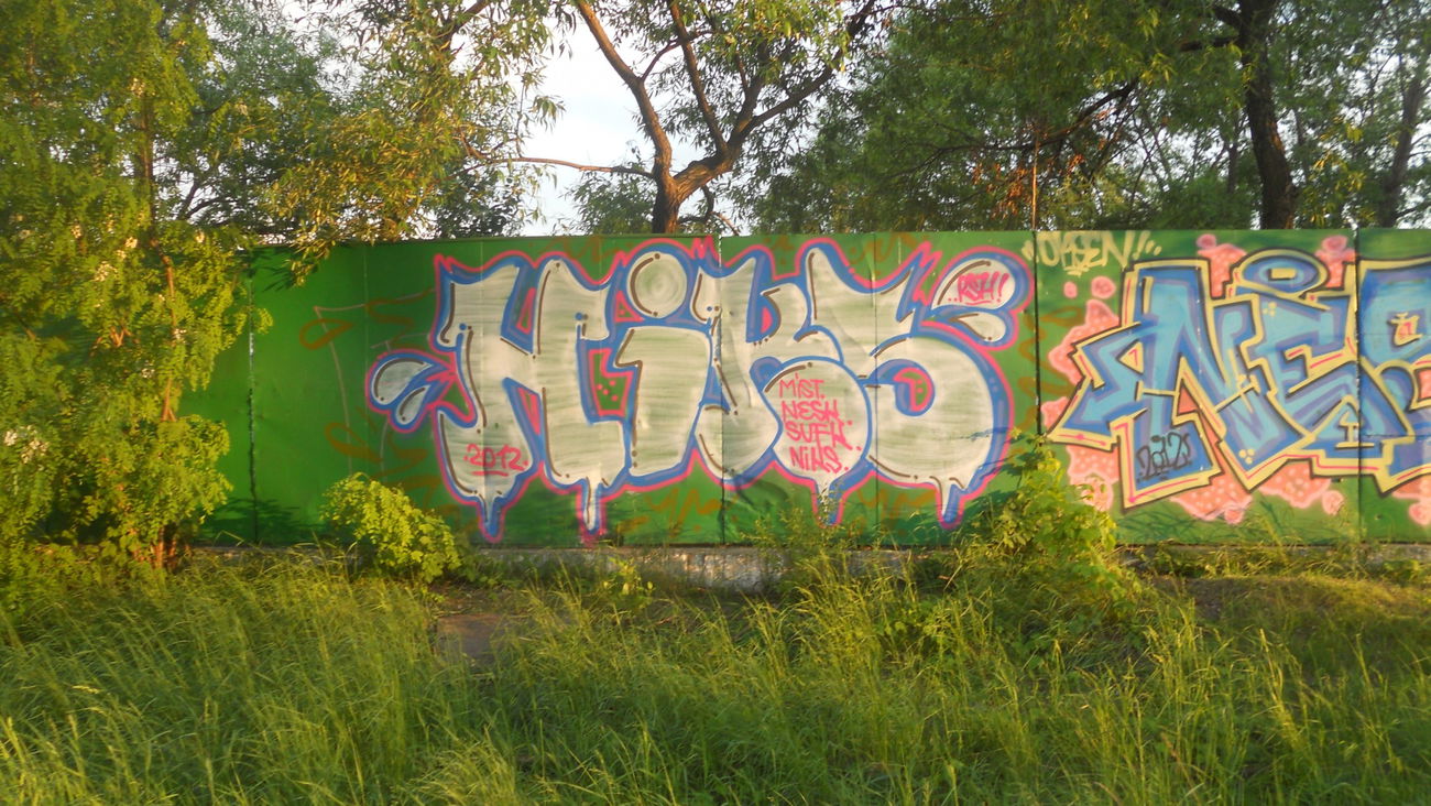 Graffiti Bombing - Photo by goes1 (2012)