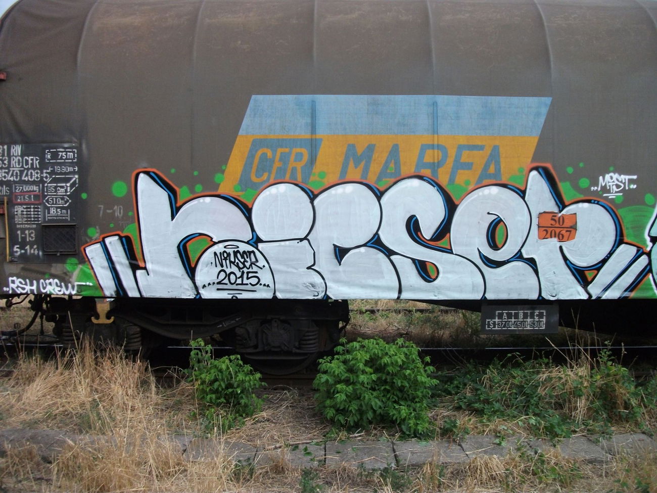 Graffiti Train - Photo by goes1 (2015)