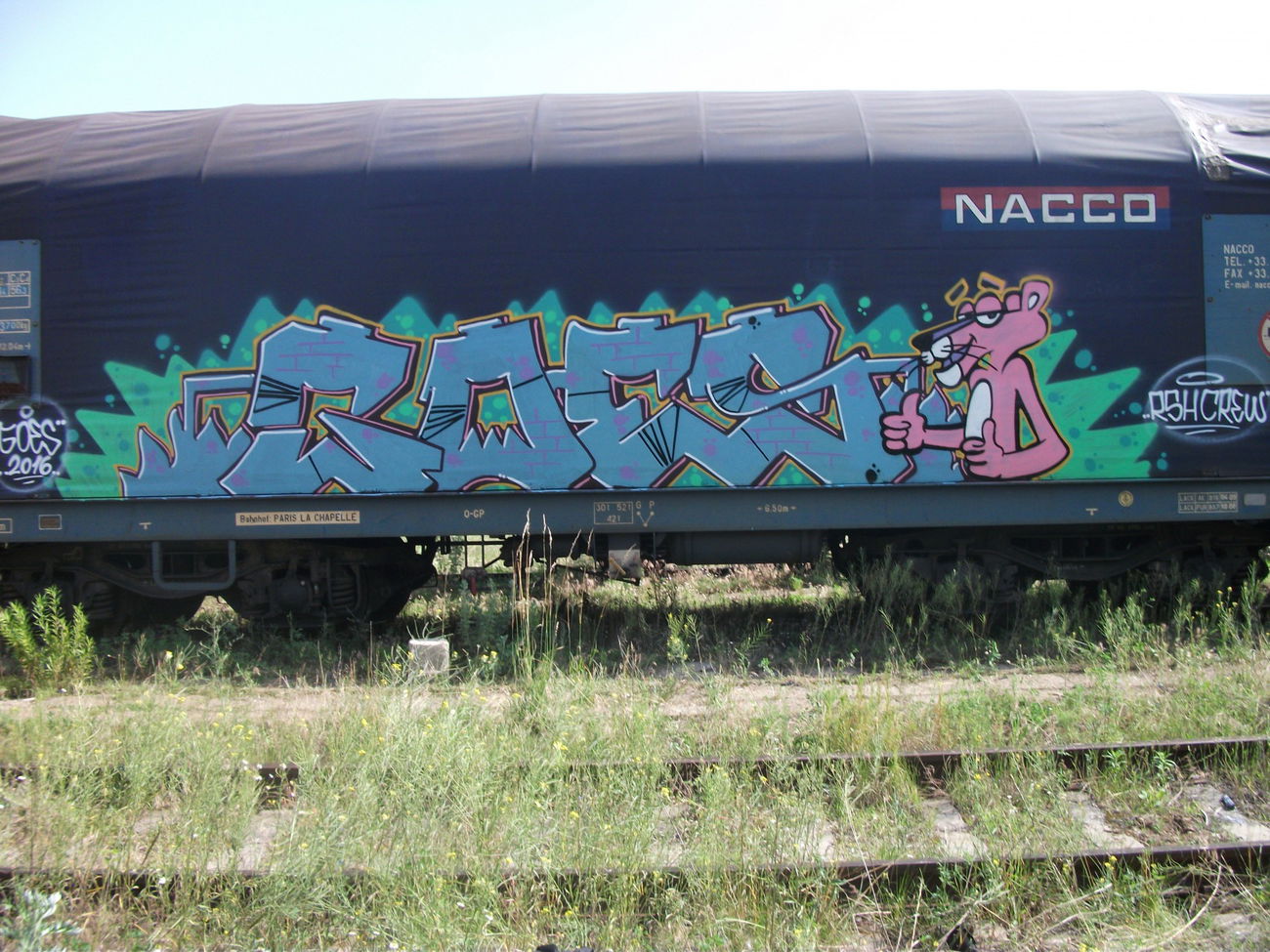 Graffiti Train - Photo by goes1 - fr8, freight, panel (2016)