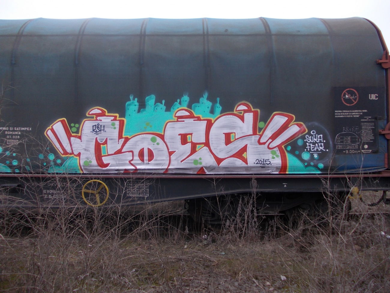 Graffiti Train - Photo by goes1 - freight, fr8, goes (2014)