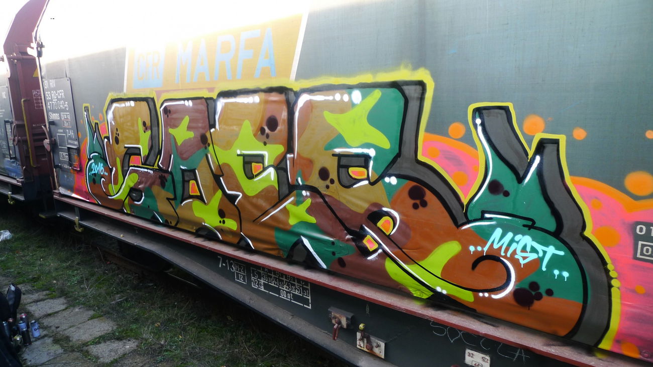 Graffiti Train - Photo by goes1 - fr8, freight, panel (2016)