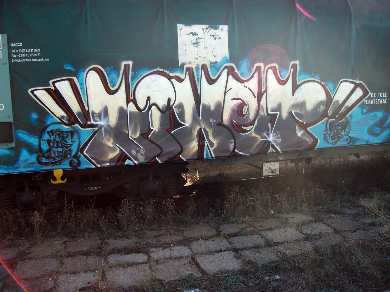 Graffiti Train - Photo by goes1 - fr8, freight, panel (2015)