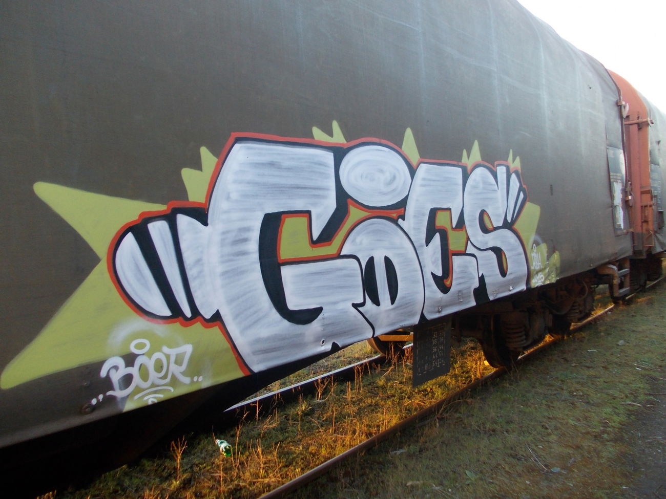 Graffiti Train - Photo by goes1 - freight, fr8, goes (2015)