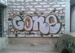 Graffiti Bombing - Photo by goneOne
