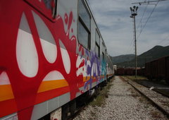 Photo #25557 by goryl