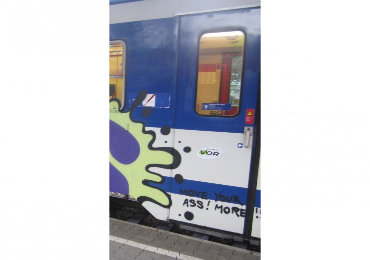 Graffiti Train - Photo by gorosh - wien, s, train (2013)