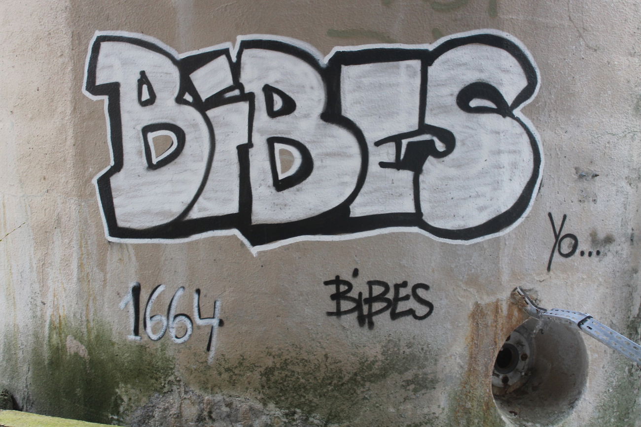 Graffiti Bombing - Photo by graffforlife