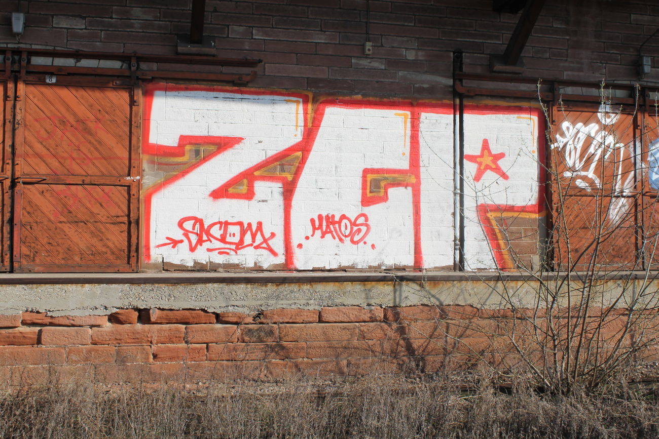 Graffiti Bombing - Photo by graffforlife