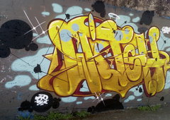 Photo #221203 by Belt